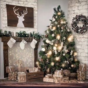 Christmas photography backdrop